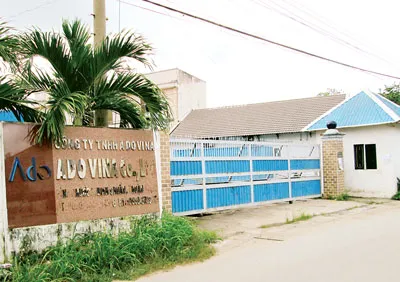 “Đau đầu” với doanh nghiệp FDI vắng chủ