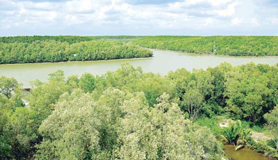 View of Vam Sat Ecological Tourist Site