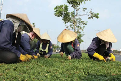 Vụ lãnh đạo 4 doanh nghiệp công ích nhận lương “khủng”: Quản lý chặt, xử lý nghiêm