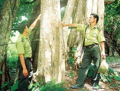 Quyền Giám đốc Vườn quốc gia Yok Đôn: “Nếu làm thủy điện này, tôi sẽ từ chức!”