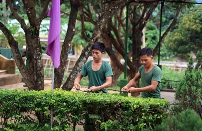 Lao động những ngày đầu