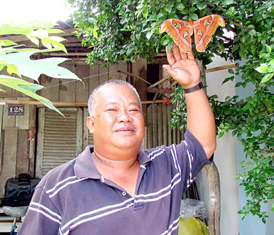 Phát hiện loài bướm khế có tên trong sách đỏ