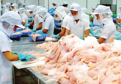 Ngành cá tra Việt Nam: Coi chừng thua trên sân nhà
