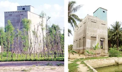 Các nhà yến này đang thu hoạch sản lượng cao