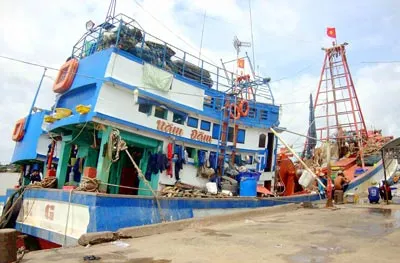 Tai nạn thương tâm ở cảng cá Gành Hào (Bạc Liêu): 2 người chết, 3 người nguy kịch