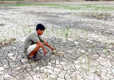 Drought parched fields in the Highland Provinces (Photo: SGGP)