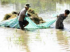 (Photo: Can Tho Television)