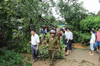 Người dân ở TP Hà Tĩnh đang tổ chức dọn dẹp cây gãy đổ.