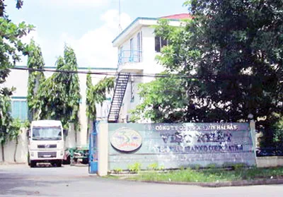 Xí nghiệp Chế biến thực phẩm Việt Nhật: Chất lượng sản phẩm bắt đầu từ nguyên liệu sạch