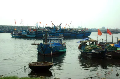 Bão số 11 hướng thẳng vào miền Trung