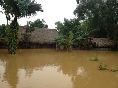Bão số 11: 9 người chết và mất tích, 69 người bị thương và hàng trăm nhà cửa, tàu thuyền bị hư hỏng nặng ảnh 3
