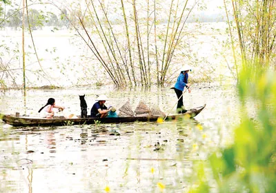 Người dân ở ấp Phú Bình, xã Phú Thành B sinh hoạt, làm ăn trong mùa nước nổi.