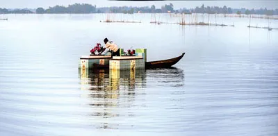 Thăm mộ mùa nước nổi.