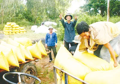Yêu cầu bức thiết