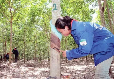 Đầu tư ra nước ngoài: Phải quản lý được dòng tiền ra - vào