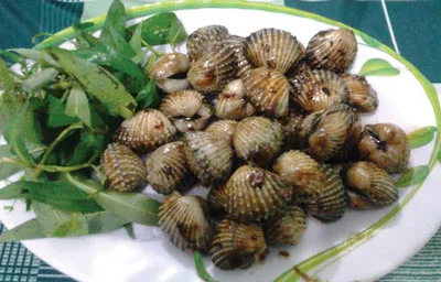 Vì sao vết thương lâu lành?