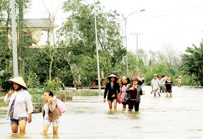 Người dân huyện Quảng Điền, tỉnh Thừa Thiên - Huế lội lũ đi tránh bão Haiyan. Ảnh: VĂN THẮNG