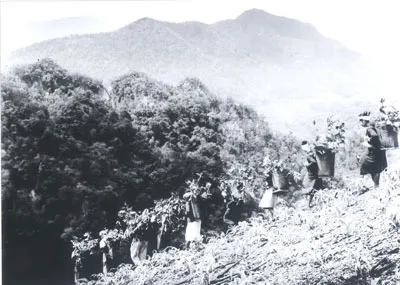 Đồng bào Pa Kô ở A Lưới (Thừa Thiện-Huế) tải vũ khí, lương thực phục vụ chiến dịch Mậu Thân 1968