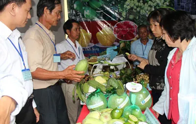 Khách hàng tham quan, tìm hiểu các loại trái cây đặc sản của các HTX nông nghiệp.