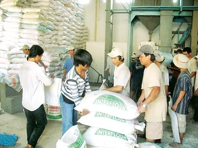 Gạo xuất khẩu của Việt Nam đến nay vẫn chưa có thương hiệu. Ảnh: BÌNH ĐẠI