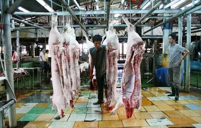 Chủ cơ sở vi phạm, người thuê lãnh hậu quả