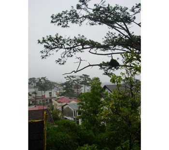 Da Lat City (Photo: KK)