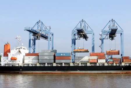 Goods loaded for export in Cat Lai Port, HCM City. Local companies in the shipping market face tough times amidst fierce competition with experienced and well-funded players from abroad. — VNA/VNS Photo Thanh Vu