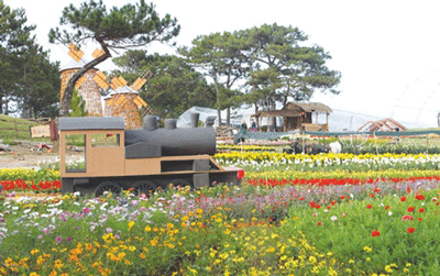 Local authorities in Central Highlands city of Da Lat prepare for the Flower Festival held in the city (Photo:VNA)