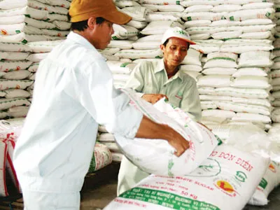 Tréo ngoe chuyện xuất nhập đường