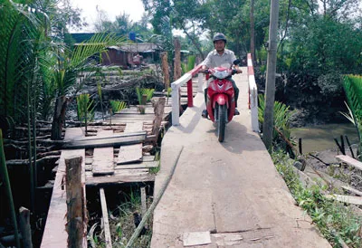 Chiếc cầu nghĩa tình