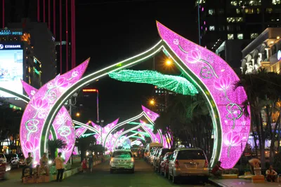 Đường hoa Nguyễn Huệ 2014: Nét đẹp của nghệ thuật sắp đặt hoa kiểng