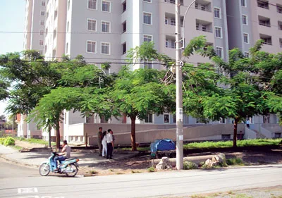 Tồn kho… nhà tái định cư!