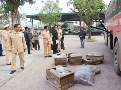 Bắt giữ xe ôtô khách vận chuyển hơn 300kg động vật hoang dã