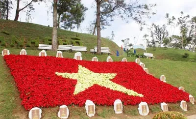 Đà Lạt, hoa xuống phố ảnh 3