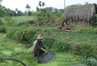 Khắc phục tình trạng “quy hoạch treo”