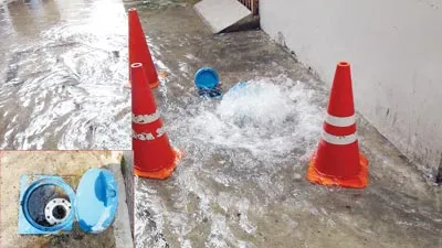 Phương pháp súc xả bằng polipig.