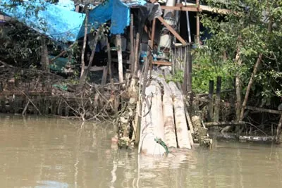 Ai quản lý môi trường?