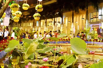 Khu đô thị Phú Mỹ Hưng: Hoa đồng cỏ nội khoe sắc