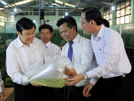 President Truong Tan Sang visits and extends wishes to Sai Gon Ornamental Fish Joint Stock Company. — Photo Thanh Vu