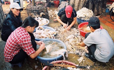 All of cases infected with the avian fluenza virus have a history of contact with live poultry.