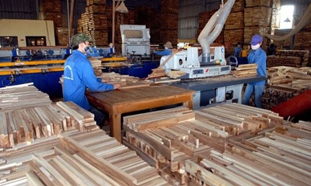 Wood plank being produced by workers of Phuong Thao Co in the central province of Quang Tri. The nation can earn US$6.2 billion from the export of wood and wooden products this year, higher than $5.5 billion last year.— VNA/VNS Photo Danh Lam