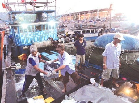 Fishermen unload fish at Tho Quang Fishing Port in Da Nang. Coastal provinces have been instructed to strengthen fishing ports as part of a long- term plan for the sector. — VNA/VNS Photo An Dang