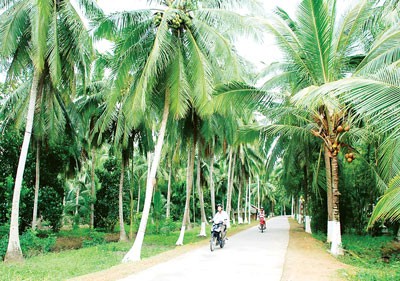 Roads in new rural communes are improved (Photo: SGGP)