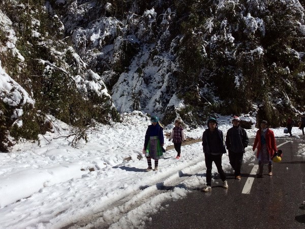 Sa Pa District, Lao Cai Province experiences ice and snow (Photo: VNA)