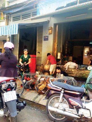 Most unlicensed poultry businesses have been shut down in HCMC. This is one of the city’s efforts to prevent a bird flu outbreak (Photo: SGGP)