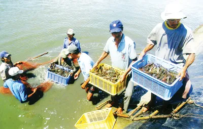 Xuất khẩu thủy sản 2014: Nỗ lực vượt mức 6,7 tỷ USD