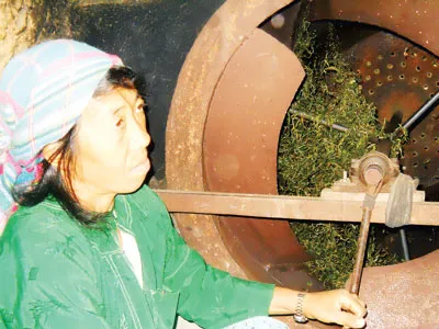 Bà con người Mông ở Lũng Phìn vẫn sao trà bằng phương pháp thủ công.