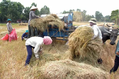 Đầu tư vào nông nghiệp, đất nước giàu nhanh hơn