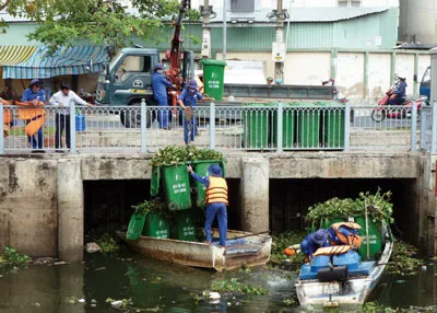 Lục bình tràn ngập kênh rạch