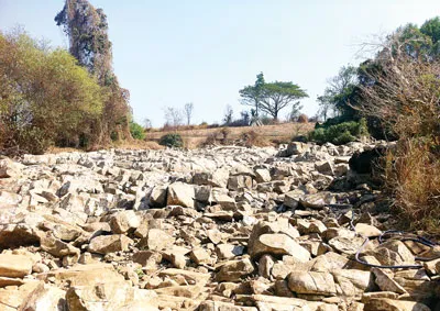 Tây Nguyên: Khô hạn, thiếu nước sản xuất